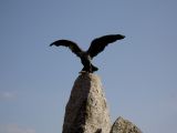 06ded2cc8f25d04842e0de11ddfafb86.jpg