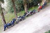 7bcd9eaf526686ab19b36df45a46cf7a.jpg