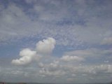815b6212729a7dc1d27ceaed8de61433.jpg
