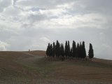 919fe5d93a282174383abcd6ebd278ec.jpg