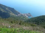 5terre-18.JPG