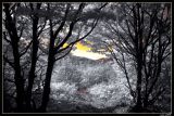 DSC_0028.jpg