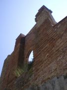 IMGP4729.JPG