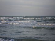 IMGP4146.JPG