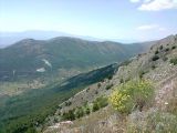 P200708_14_17[01].JPG