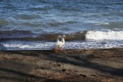 IMG_9904.JPG