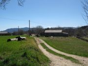 Campo.jpg