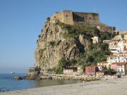 Scilla1.jpg
