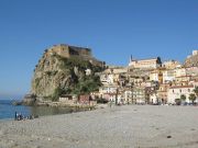 Scilla2.jpg
