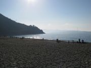 Scilla4.jpg
