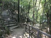 Calabria_Papasidero_Grotta_Romito_3.JPG