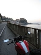 Scilla1.jpg