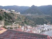Scilla10.jpg