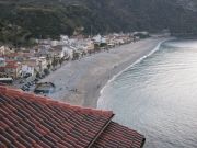 Scilla11.jpg