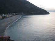 Scilla12.jpg