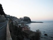 Scilla2.jpg