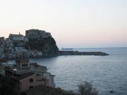 Scilla3.jpg