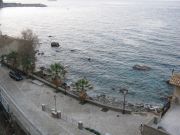 Scilla6.jpg
