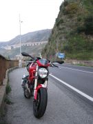 Scilla8.jpg