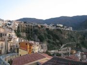 Scilla9.jpg