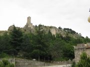 IMG_1318.JPG
