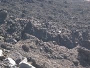 IMG_1217.JPG
