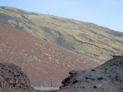 IMG_1225.JPG