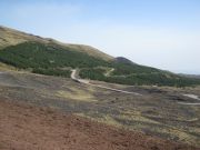 IMG_1233.JPG