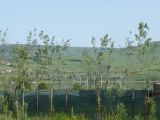 DSC04878.JPG
