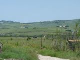 DSC04879.JPG