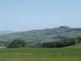 DSC04891.JPG