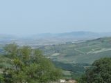 DSC04892.JPG