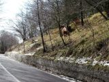 DSC05386.JPG