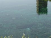 DSC05525.JPG