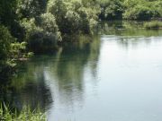 DSC05526.JPG