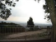 DSC05796.JPG