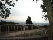 DSC05796.JPG
