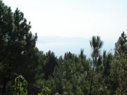 DSC05822.JPG