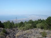 DSC05825.JPG