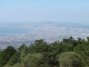 DSC05826.JPG