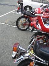 IMG_2965.JPG