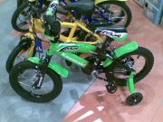 kawa2009.jpg