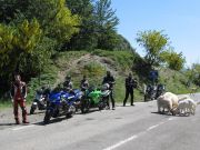 IMG_3170.JPG