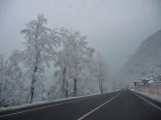 P1000473-Feltrino.jpg