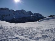 P1000483-Sunshine.jpg