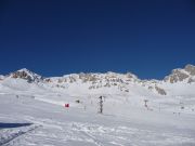 P1000492-delle.jpg
