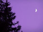 P1000555-Purple_moon.jpg