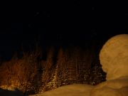 P1000589-Into_the_wild.jpg