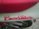 Bandit_028__lowjpg.JPG