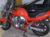 Bandit_24-03-2007_003_low.JPG